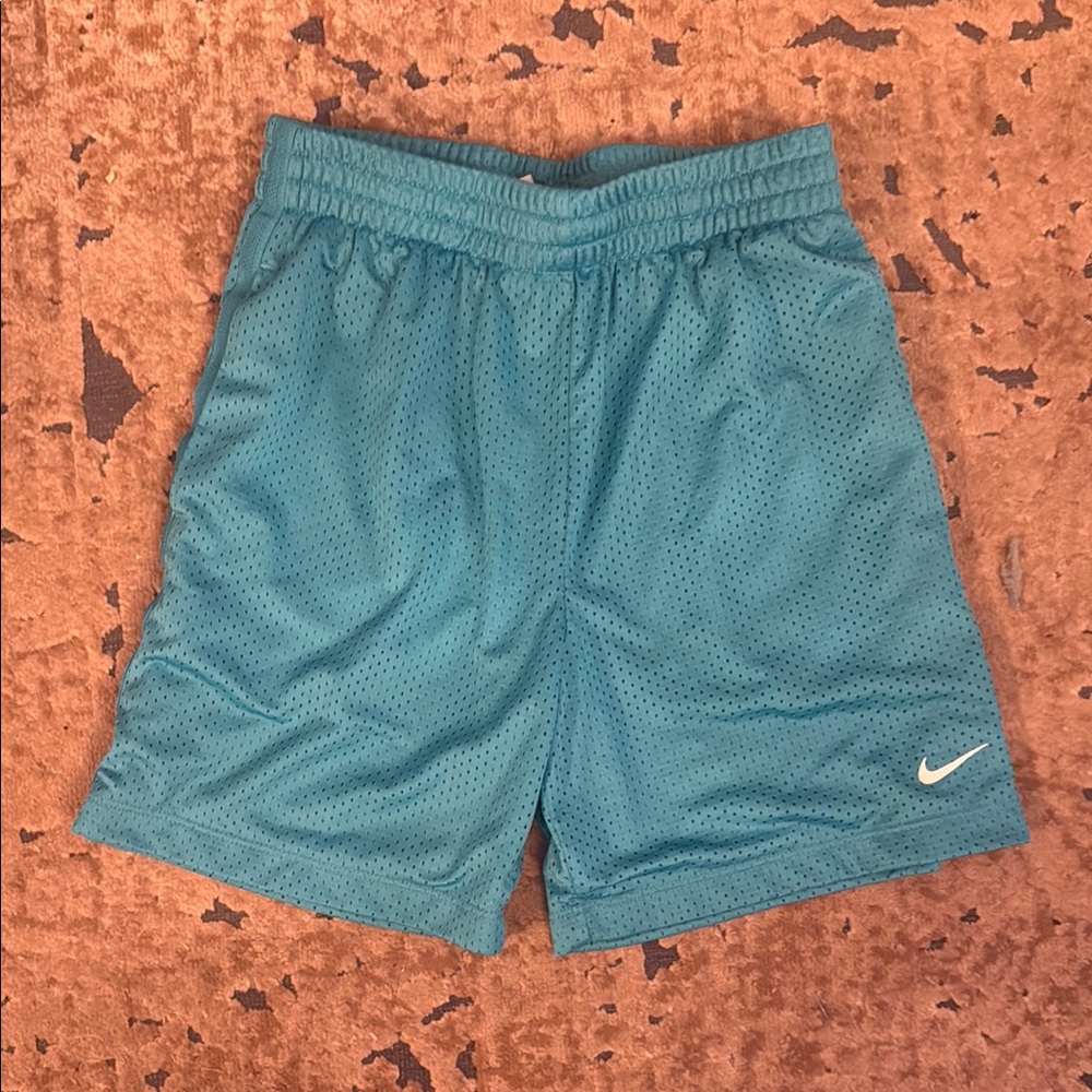 Nike Turquoise Mesh Shorts